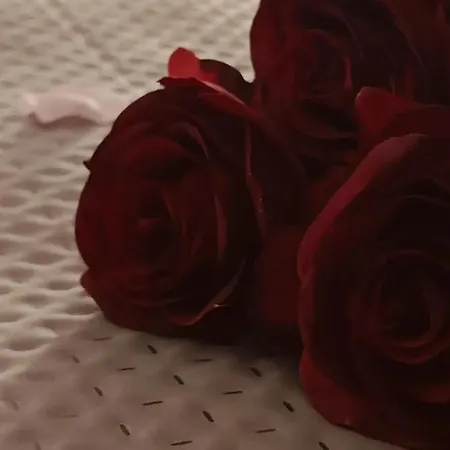 Bed and breakfast Stefania 3*