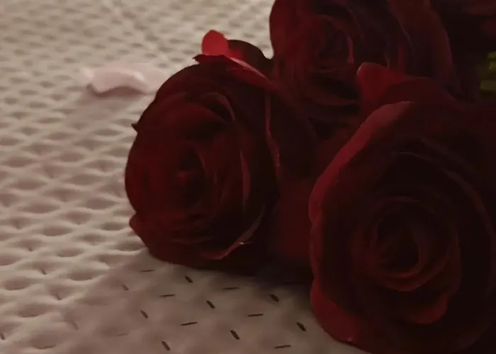 Bed & Breakfast Stefania 3*